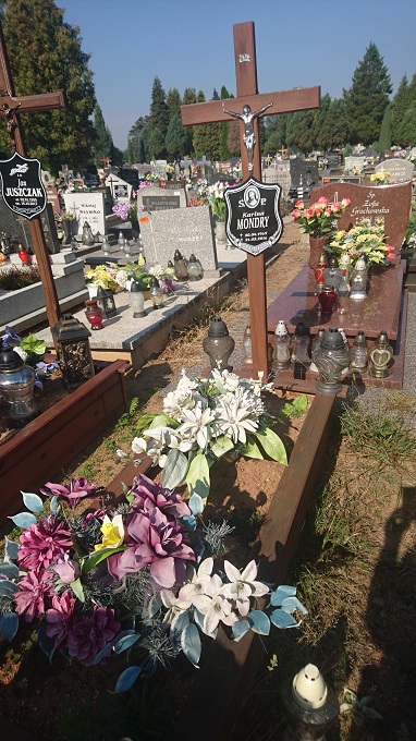  Nn Kędzierzyn - Koźle - Grobonet - Wyszukiwarka osób pochowanych