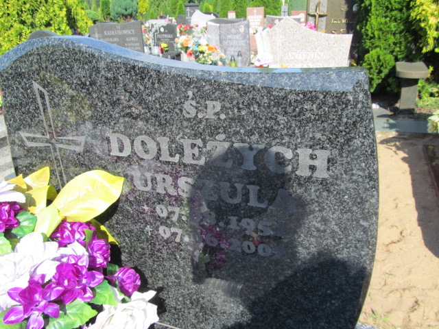 Walter Doleżych 1956 Kędzierzyn - Koźle - Grobonet - Wyszukiwarka osób pochowanych