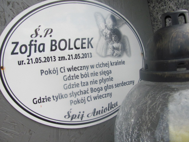 Zofia Bolcek 2013 Kędzierzyn - Koźle - Grobonet - Wyszukiwarka osób pochowanych