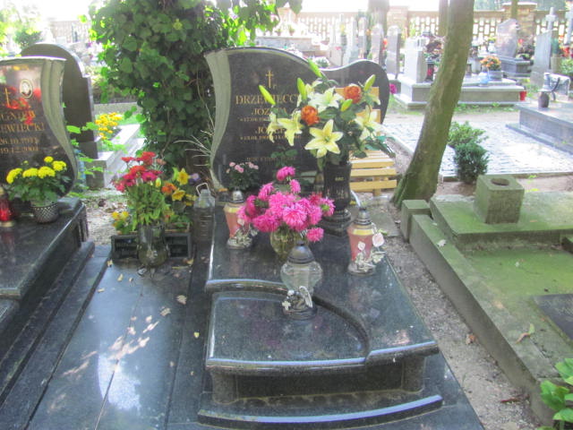 Grób Józefa Drzewiecka